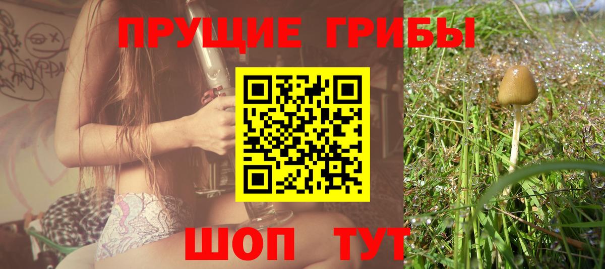 Галлюциногенные грибы Cubensis Семилуки